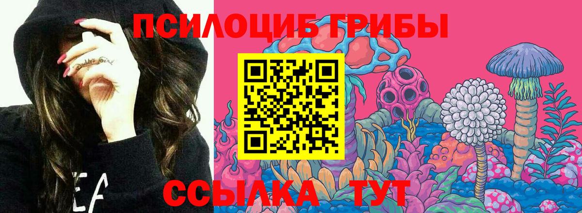 Галлюциногенные грибы Magic Shrooms  Вход с VPN  Псилоцибиновые грибы Psilocybe  Аша 